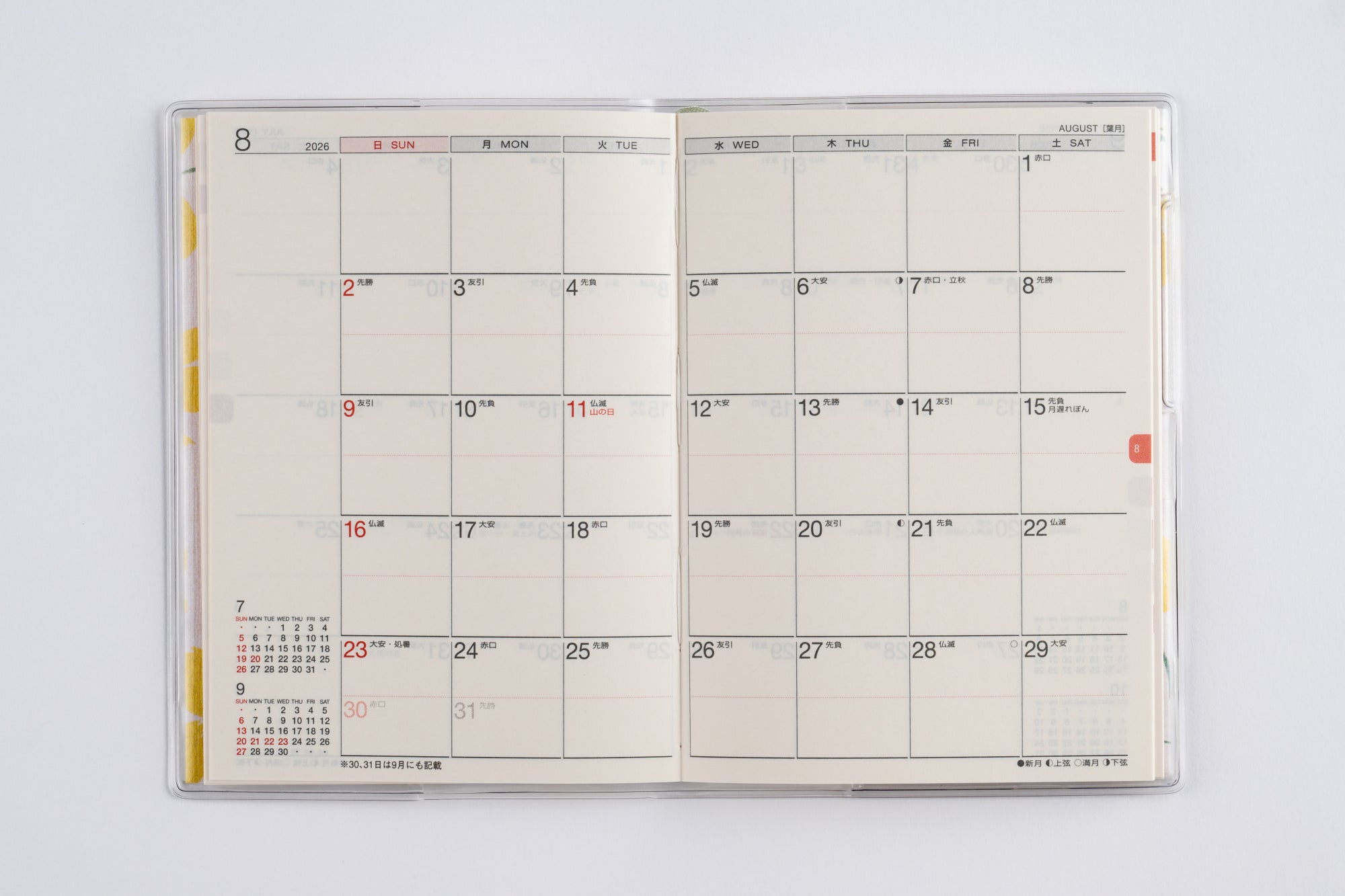 [No.256]ラフィーネ プチ 2