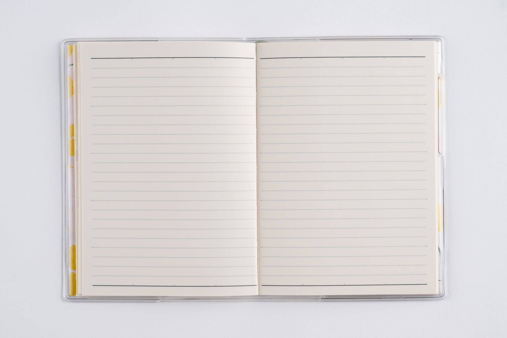 [No.256]ラフィーネ プチ 2