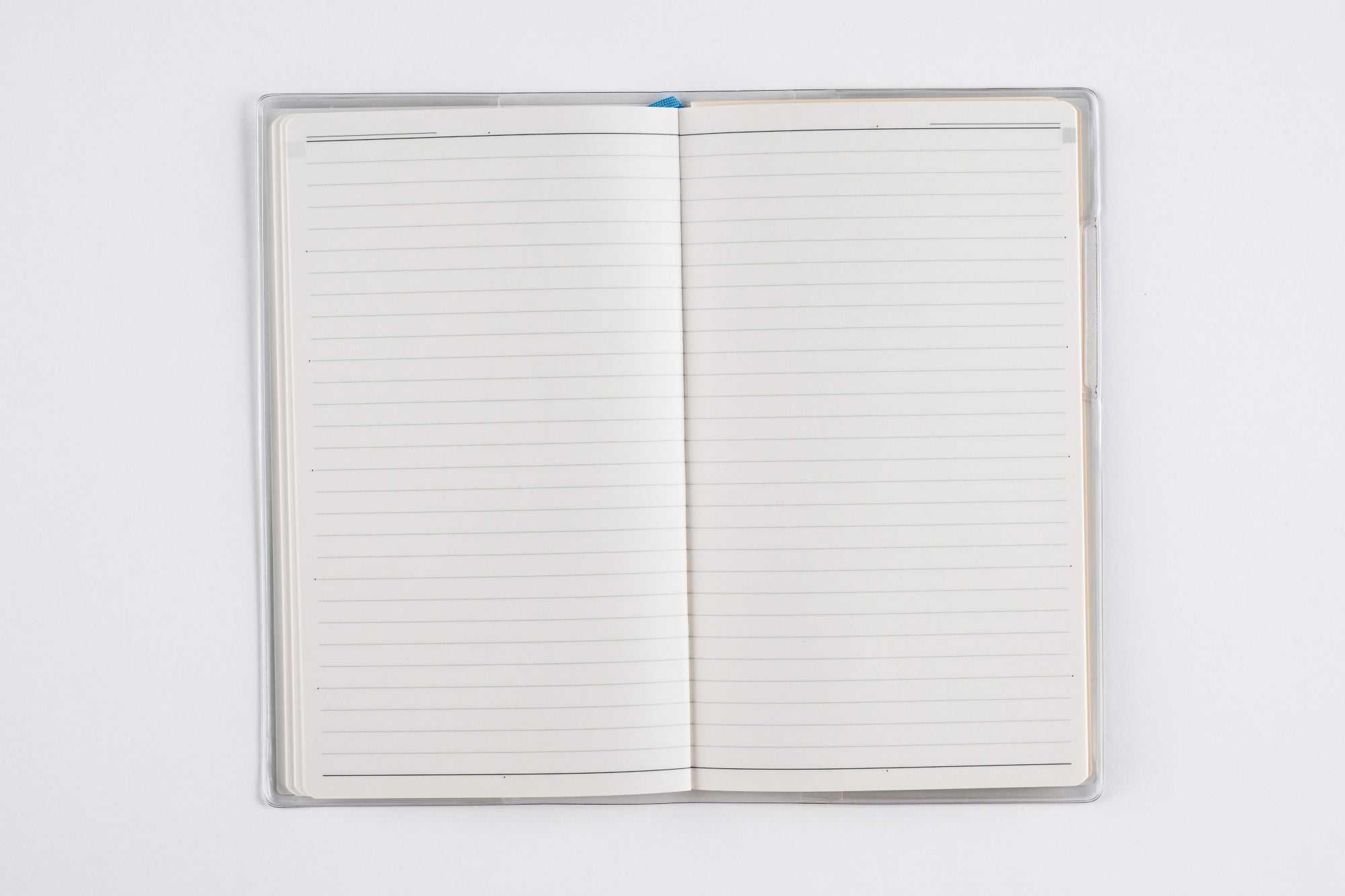 [No.264]リベルデュオ 5【ビーンズベルデ】