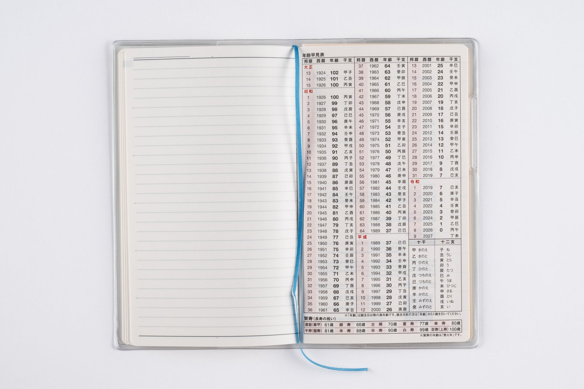 [No.264]リベルデュオ 5【ビーンズベルデ】