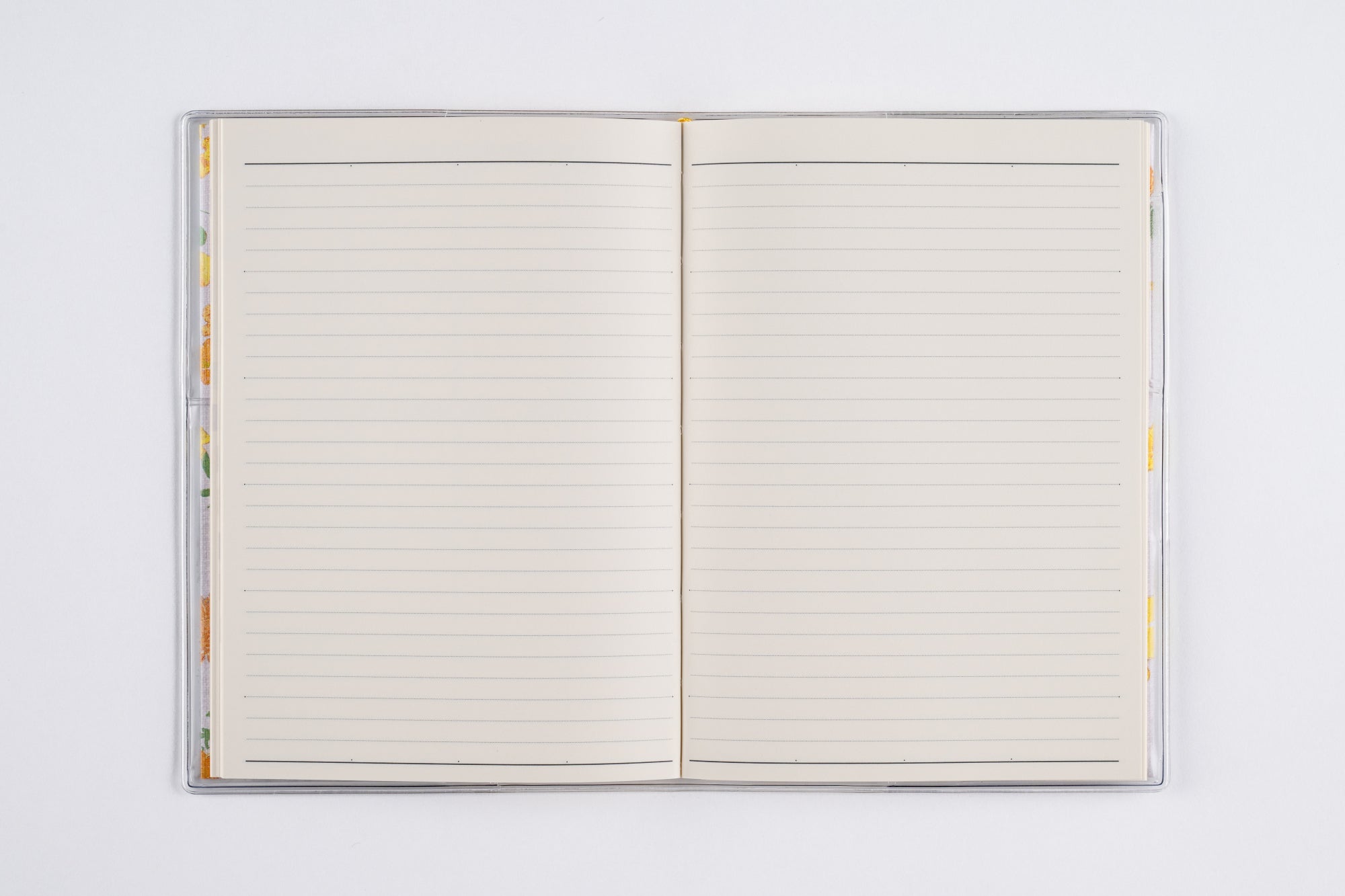 [No.281]ラフィーネ 1