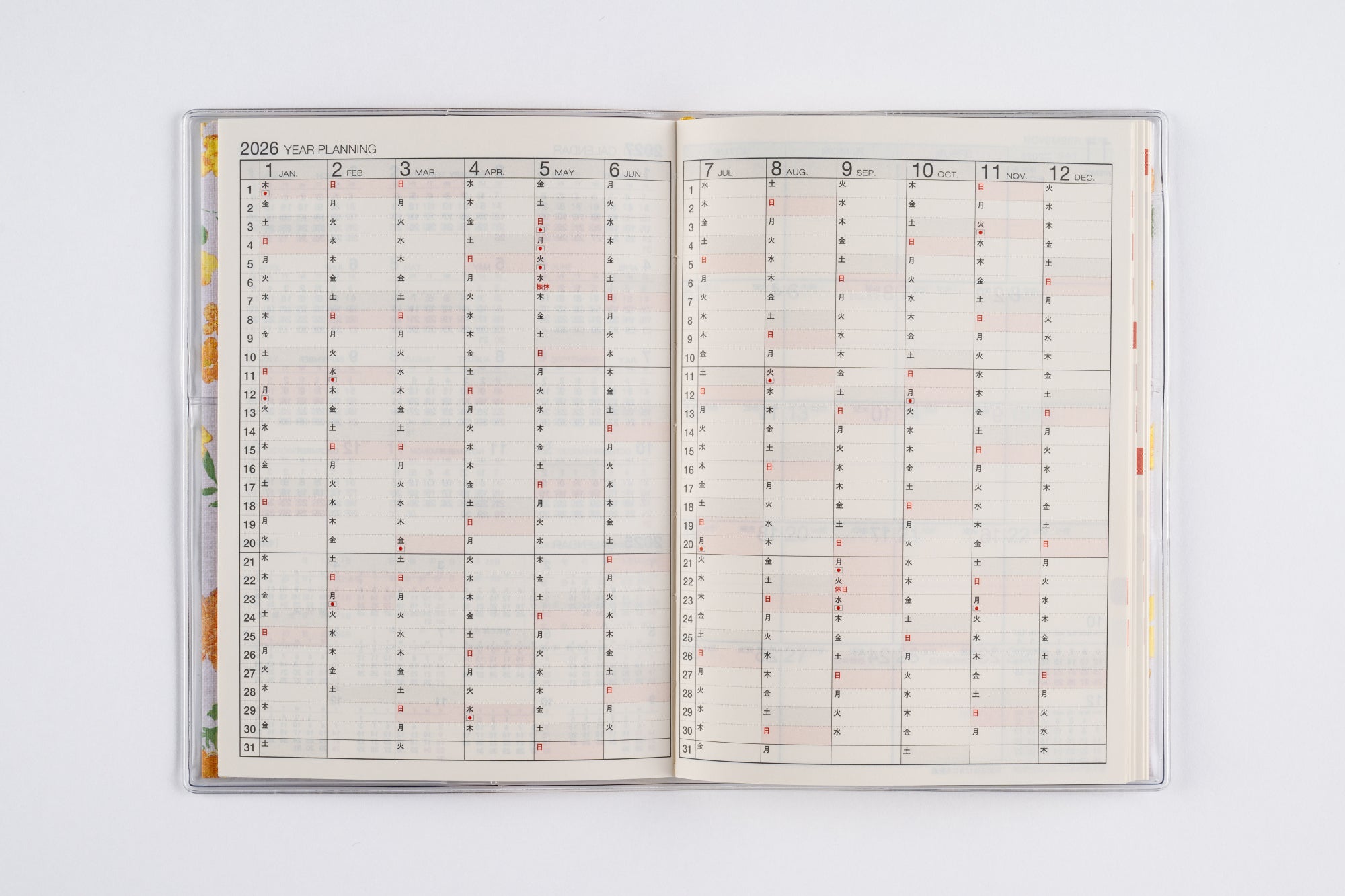 [No.281]ラフィーネ 1