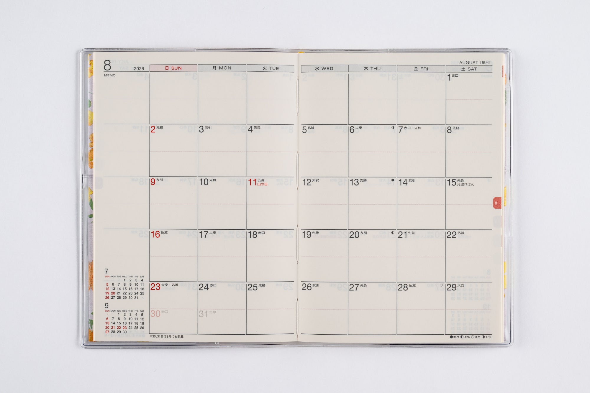 [No.281]ラフィーネ 1