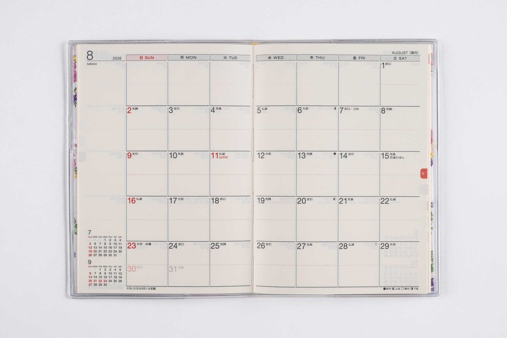 [No.282]ラフィーネ 2