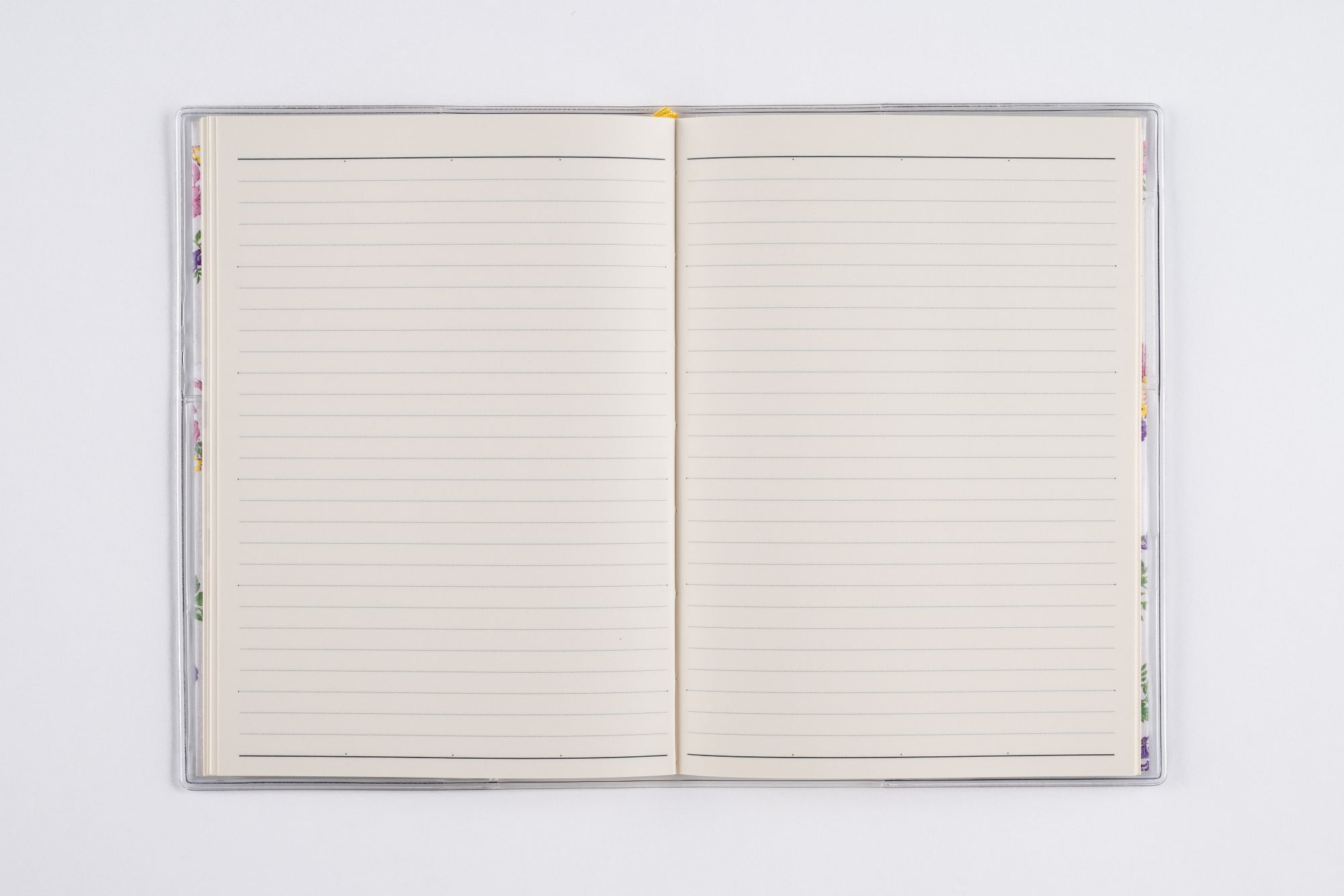 [No.282]ラフィーネ 2