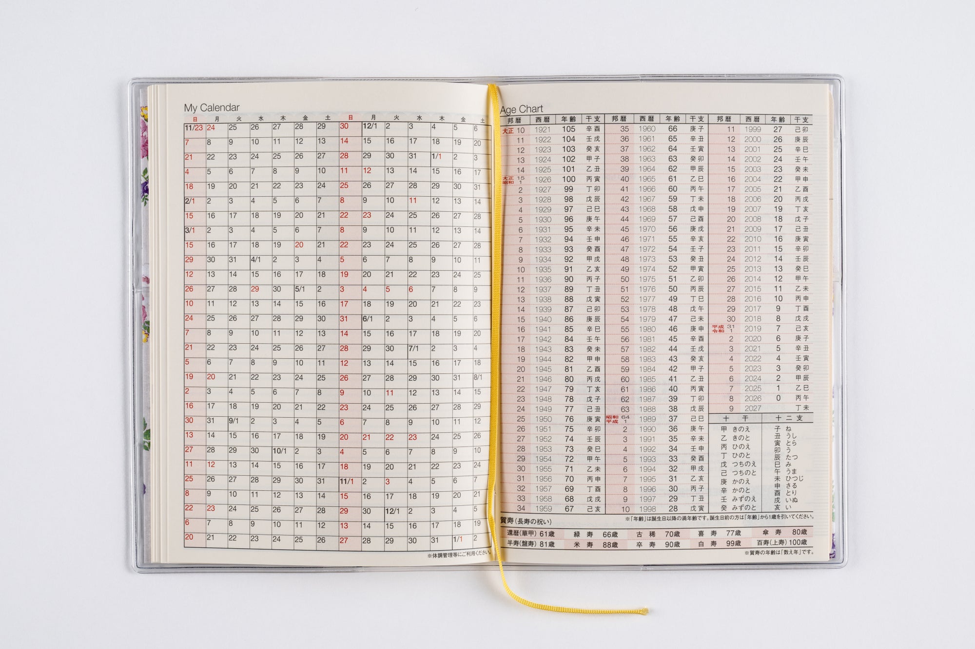 [No.282]ラフィーネ 2