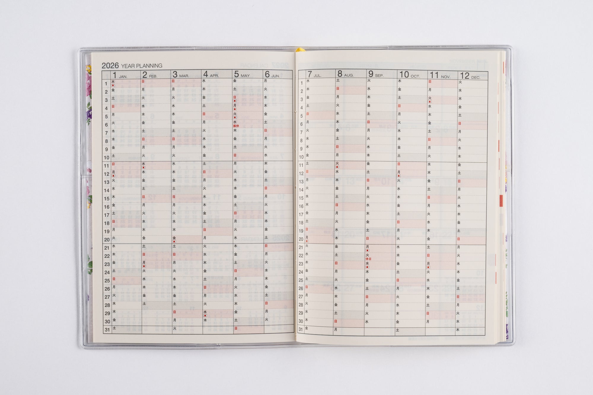 [No.282]ラフィーネ 2