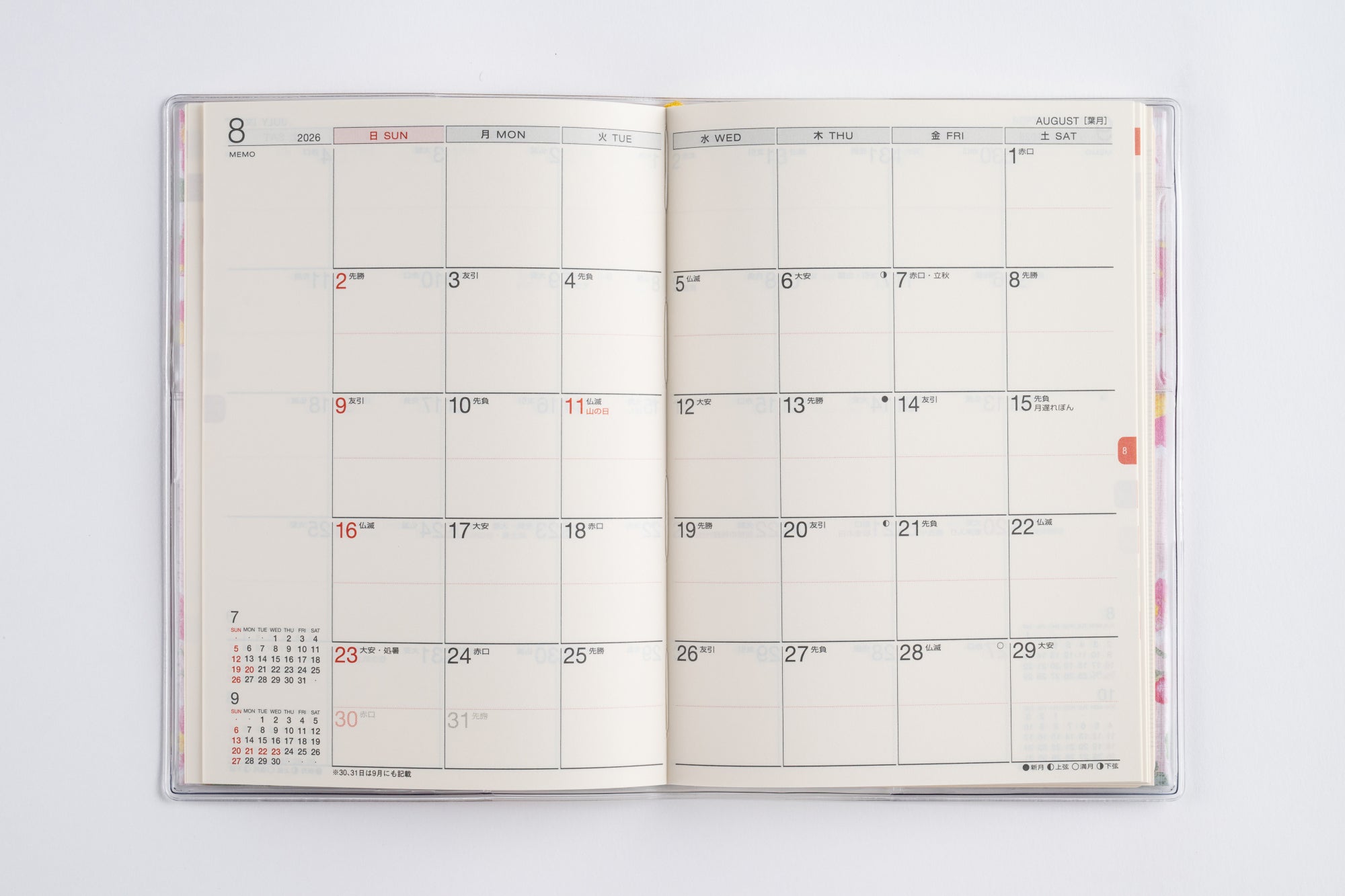 [No.283]ラフィーネ 3