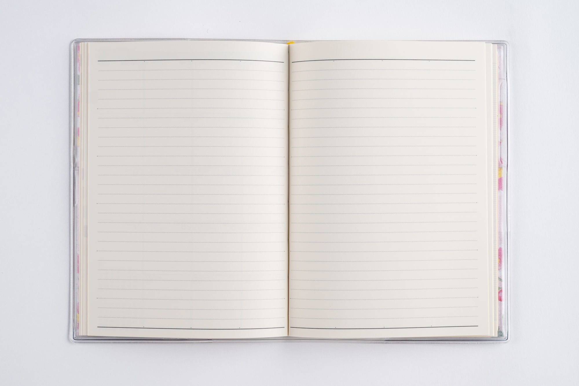 [No.283]ラフィーネ 3