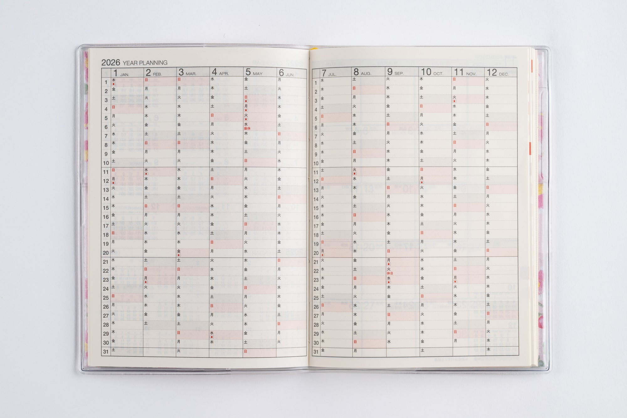 [No.283]ラフィーネ 3