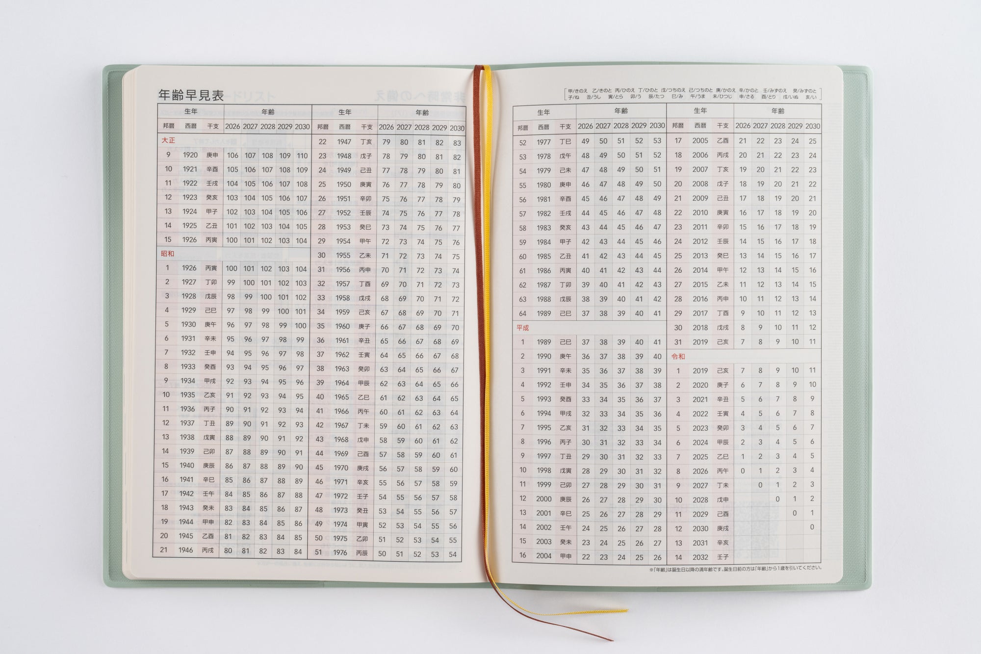 No.345]5年DIARY【ミントグリーン】