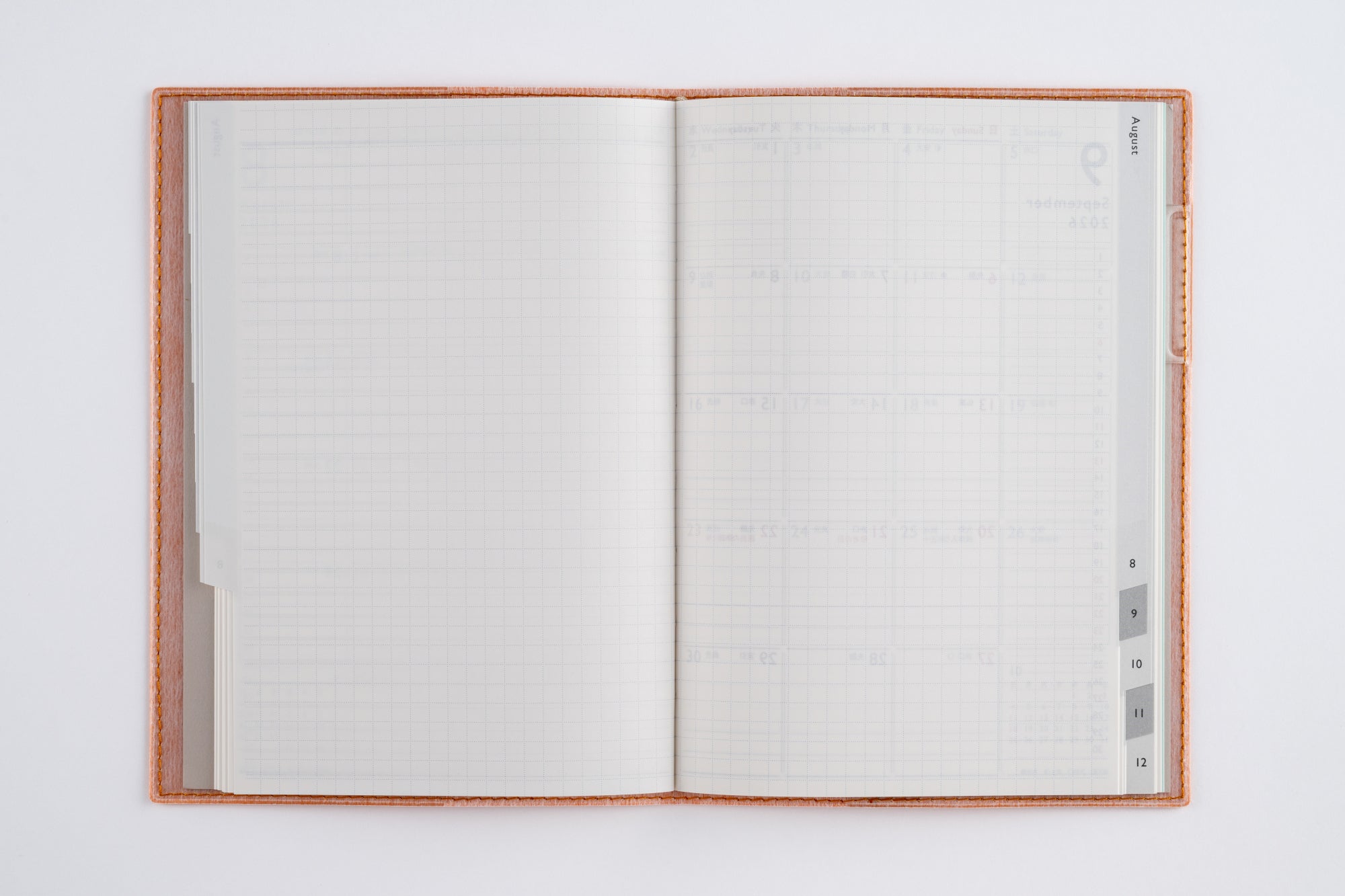 [No.493]ディアクレール® 3【オレンジ】