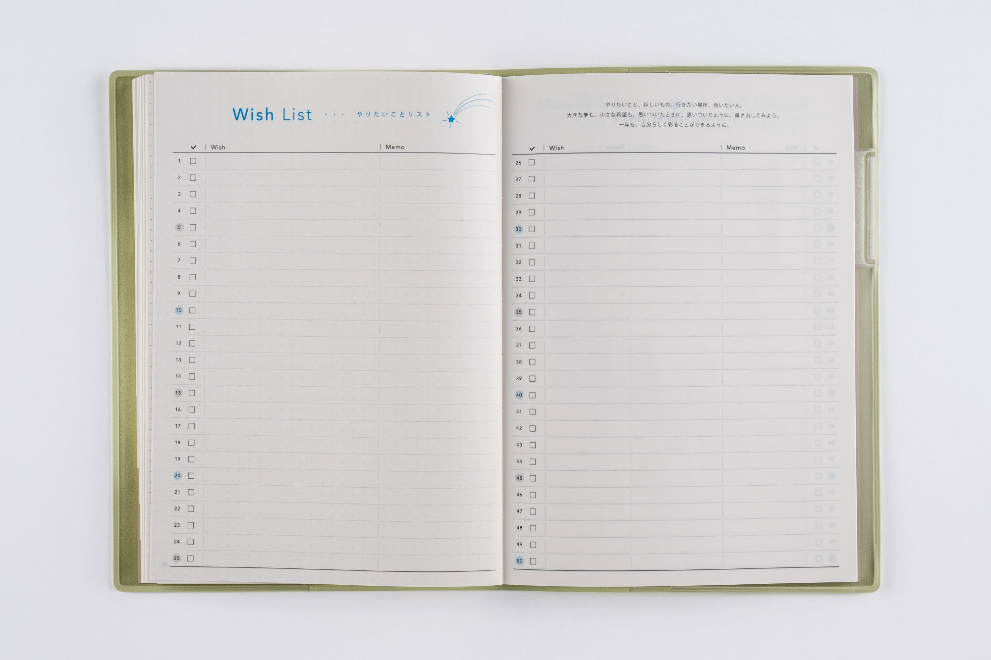 [No.572]torinco® 6【セージグリーン】