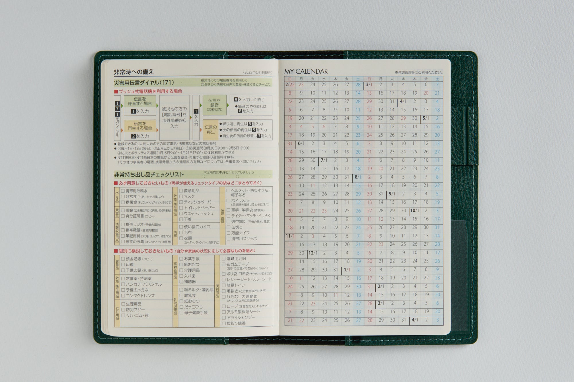 [No.854]T'beau （ティーズビュー） 3【パイングリーン】