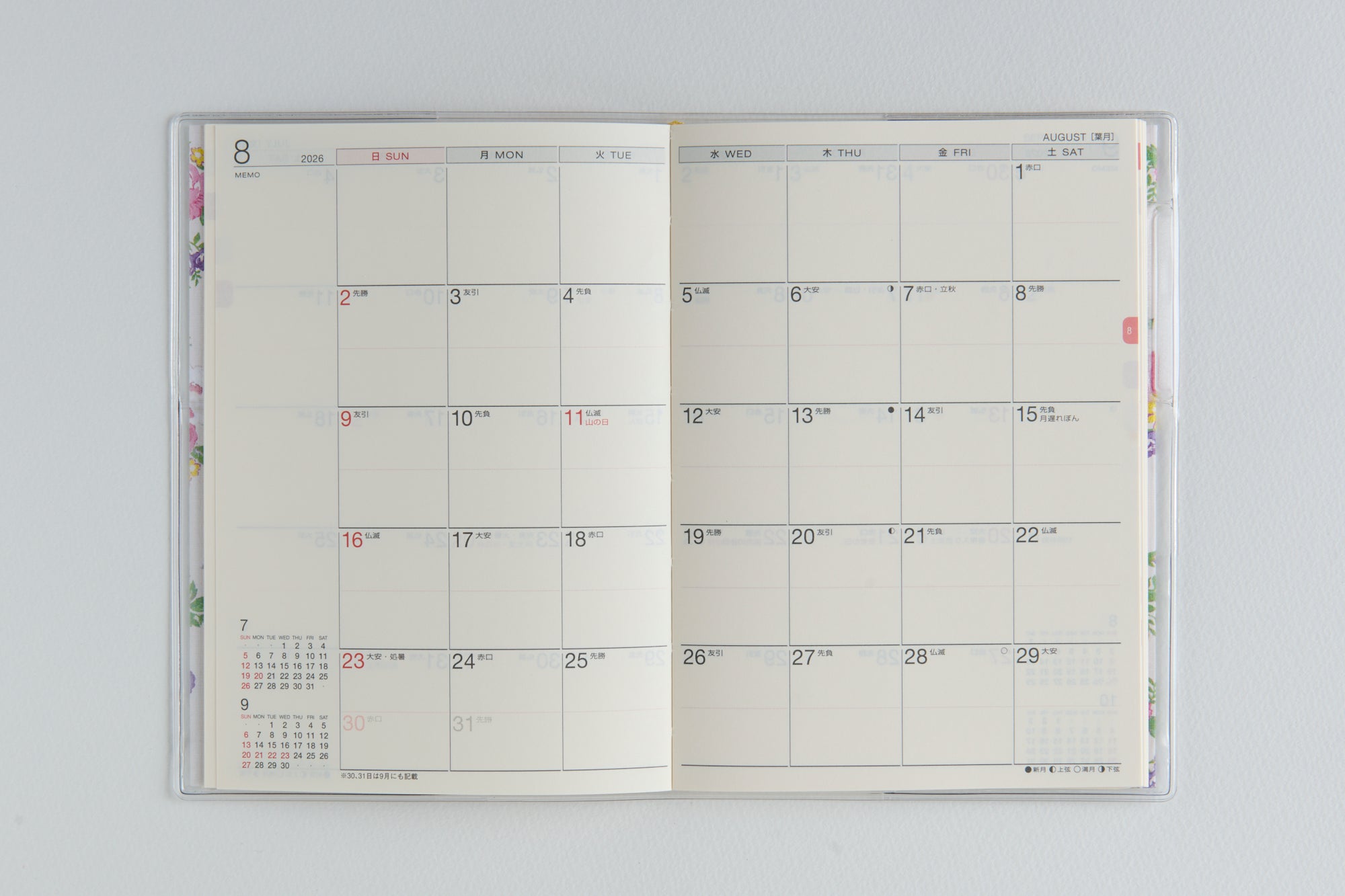 [No.876]ラフィーネ 2