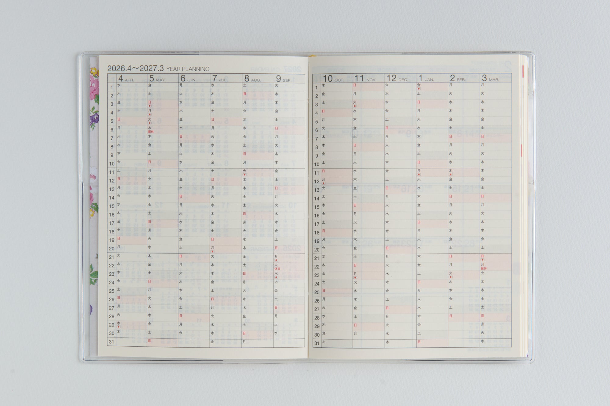 [No.876]ラフィーネ 2