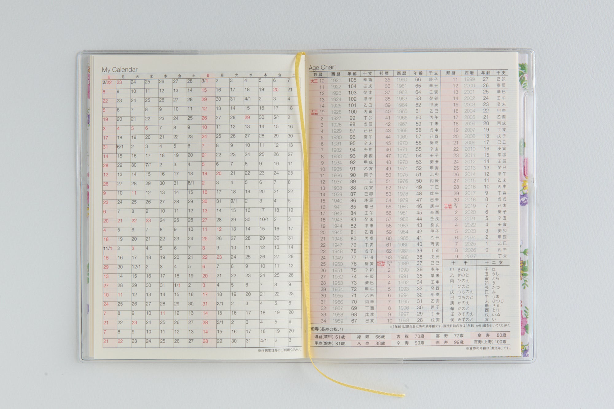 [No.876]ラフィーネ 2