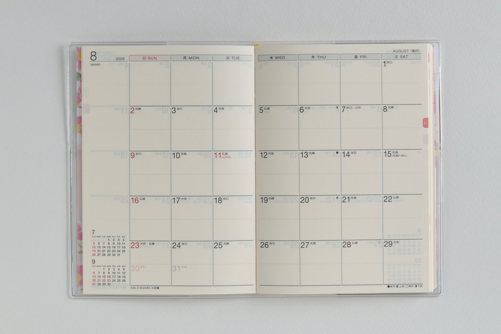 [No.877]ラフィーネ 3