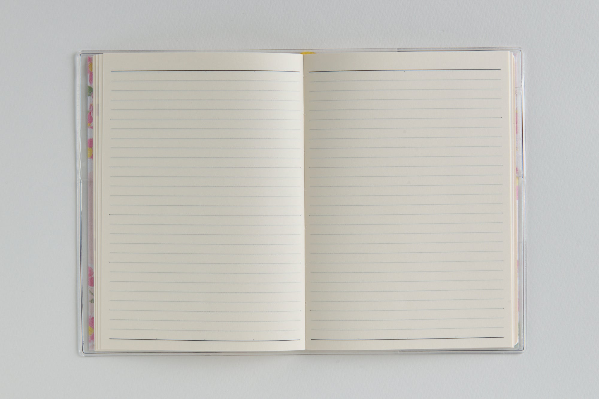 [No.877]ラフィーネ 3