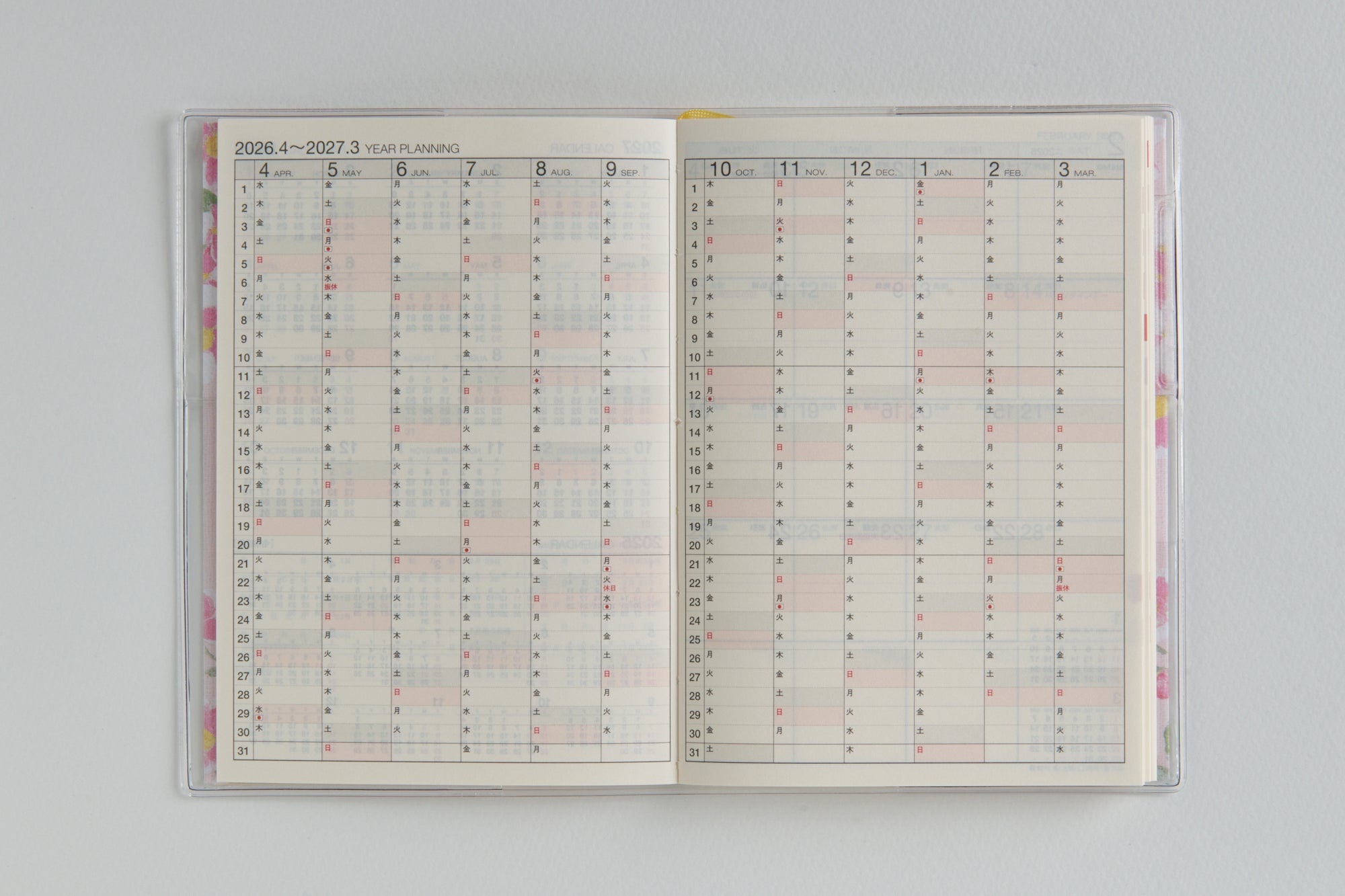 [No.877]ラフィーネ 3