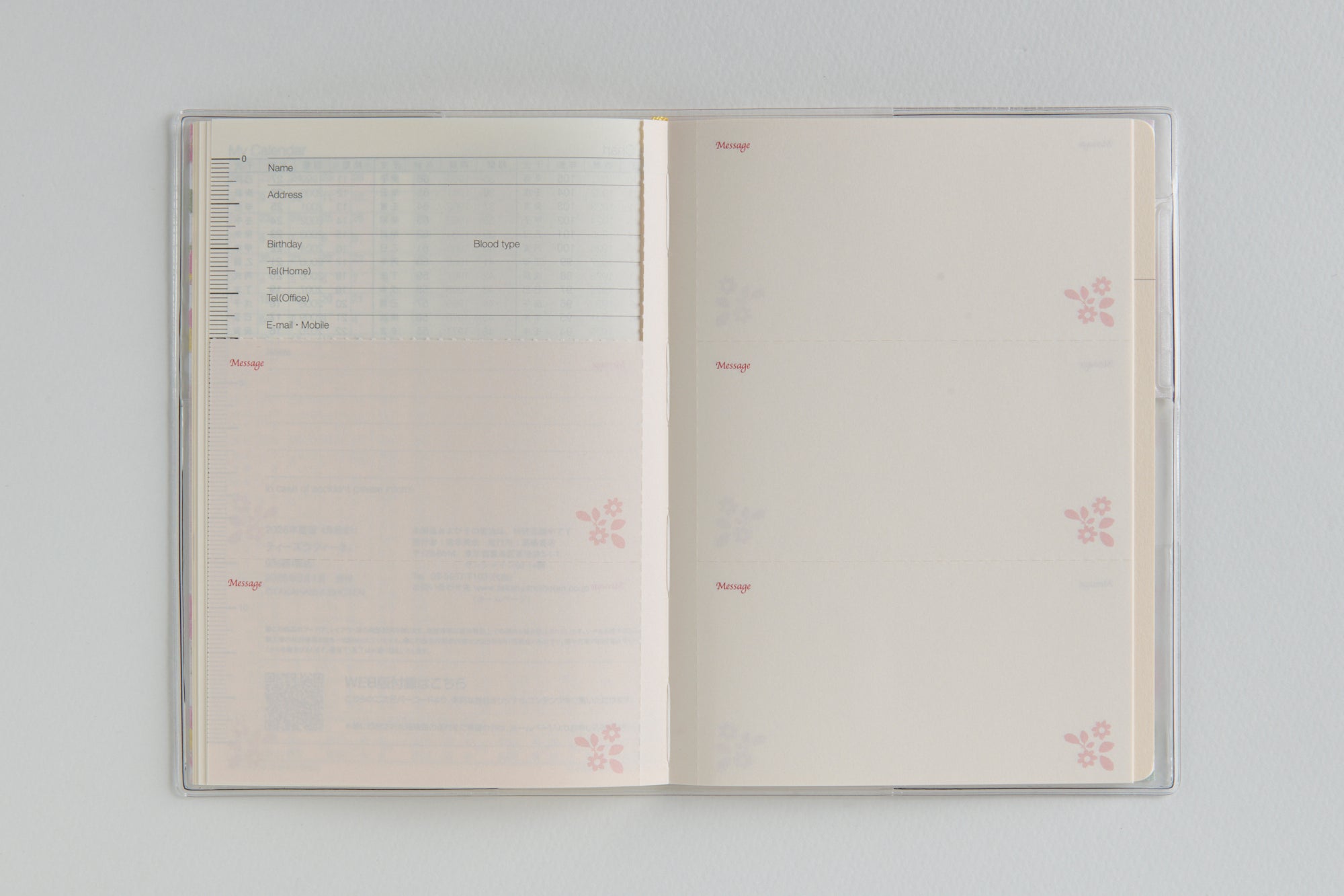 [No.877]ラフィーネ 3