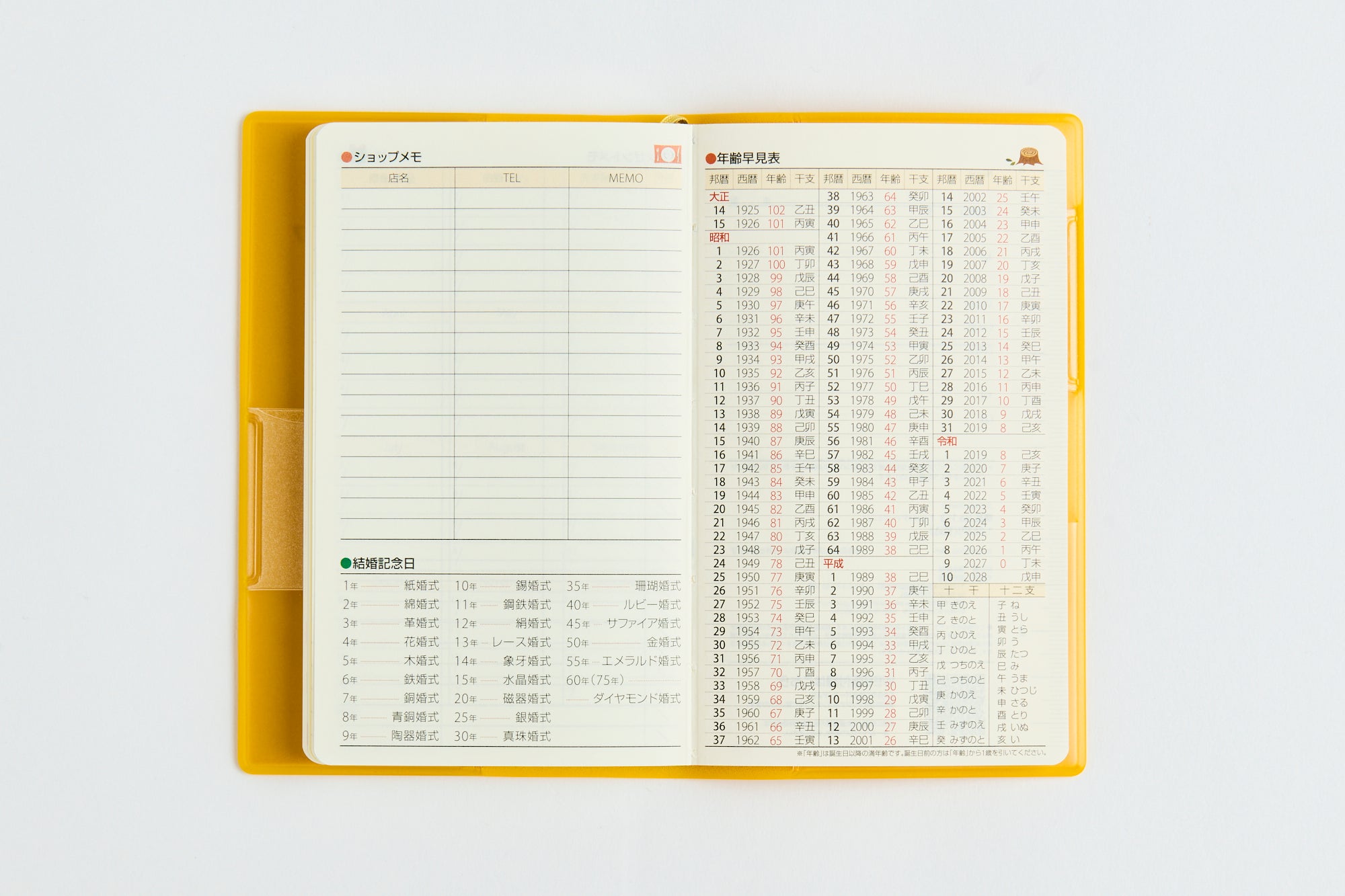 ★2/20週末セール★CTP1-3フルセット(中国版)156冊＋ワーク39冊 No.153] T'mini （ティーズミニ） 1 【イエロー】 2027年版1月始まり