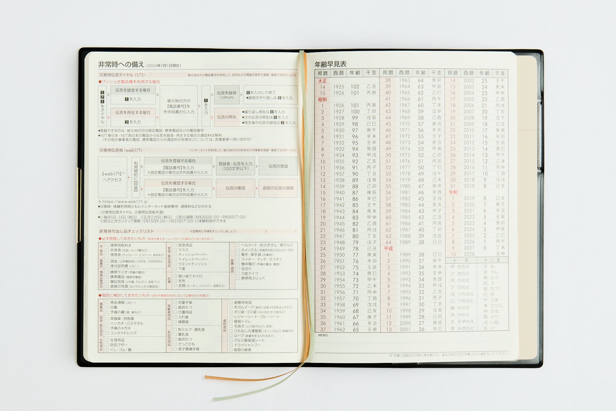 [No.240] フェルテ® 10 【黒】 2027年版1月始まり